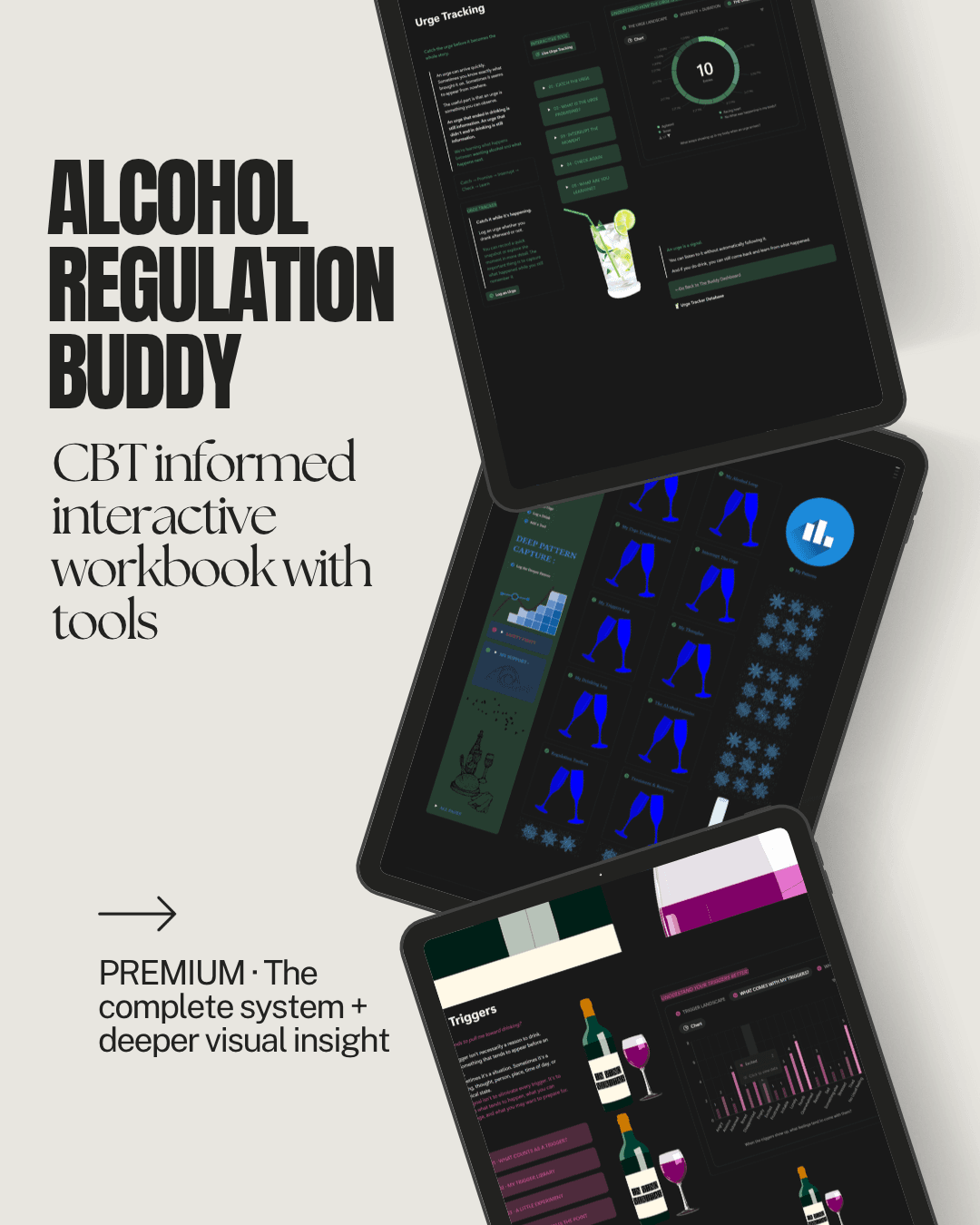 Alcohol Regulation Buddy — preview 4